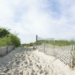 Meet your Posher, Missy